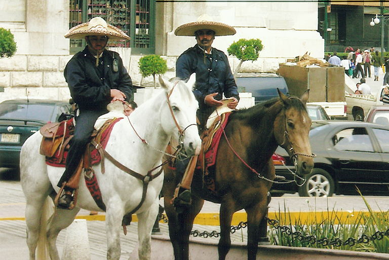 mexico_horses